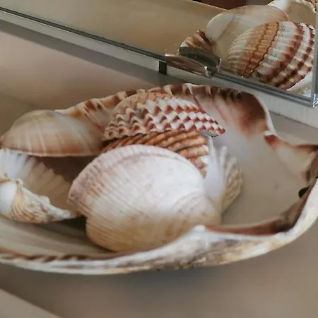 Lenzenhof Anno 1720 I * Schotten