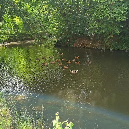 Lenzenhof Anno 1720 I *