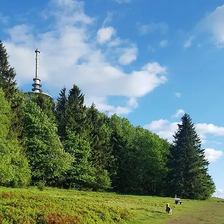 Lejlighed Lenzenhof Anno 1720 I