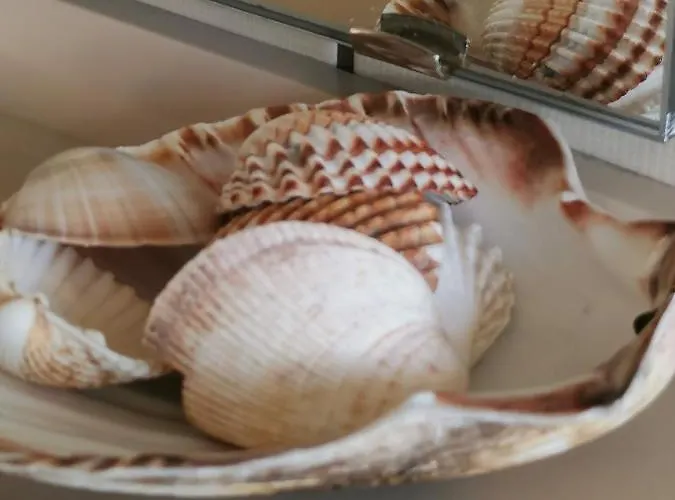 Lenzenhof Anno 1720 I * 肖顿