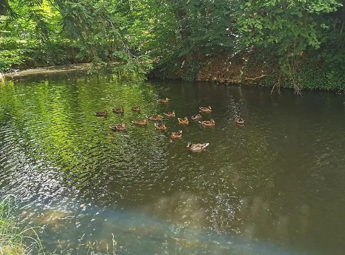 Lenzenhof Anno 1720 I *